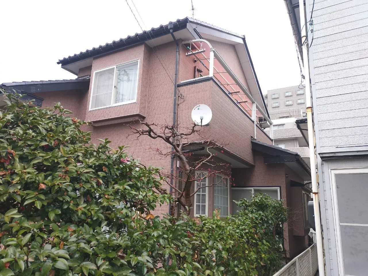 新潟市中央区_307_1